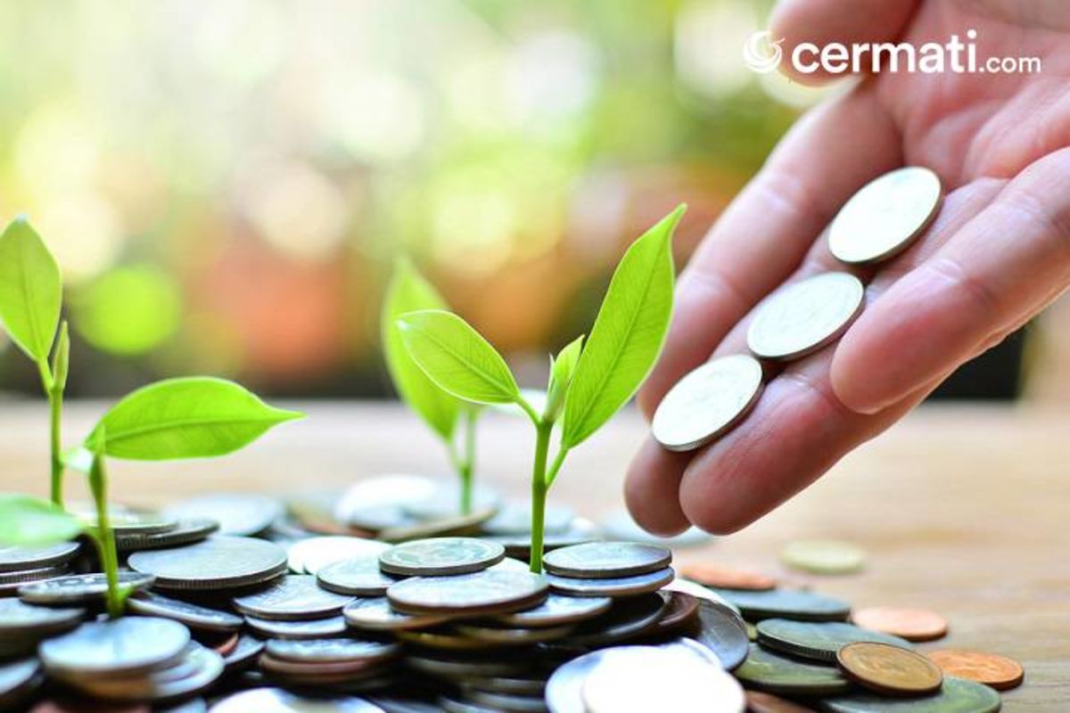 Pilihan Investasi Ini Paling Pas Buat Anda yang Punya Modal ...