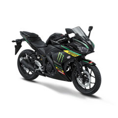 Yamaha R25 TECH 3