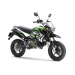 Kawasaki KSR PRO