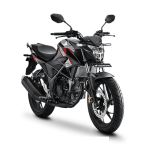 Honda CB150R StreetFire