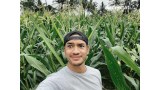 loader