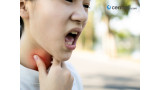 loader