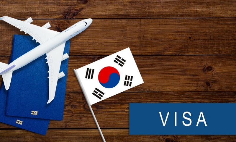 visa hallyu