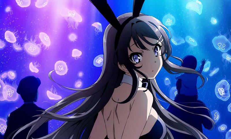 Rascal Does Not Dream of Bunny Girl Senpai