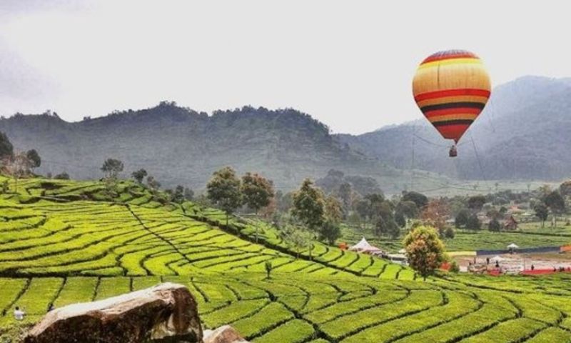 Wisata Balon Udara Ciwidey