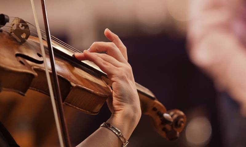 pemusik