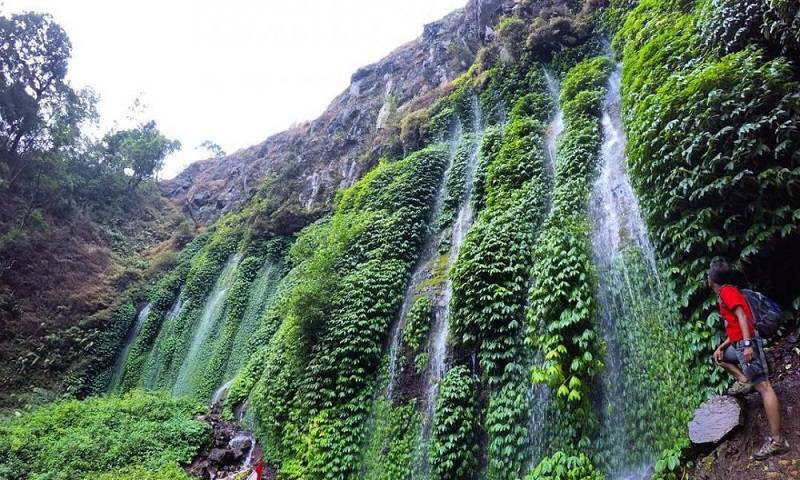coban 7 pujon