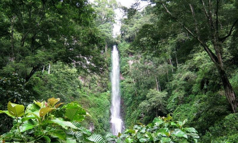 coban rais