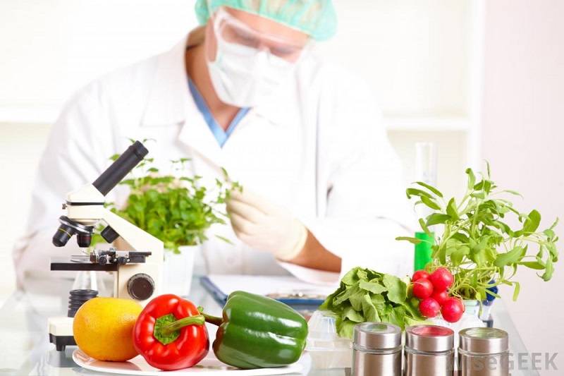 Food Scientist via wisegeek.com