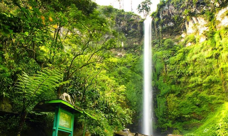 coban rondo