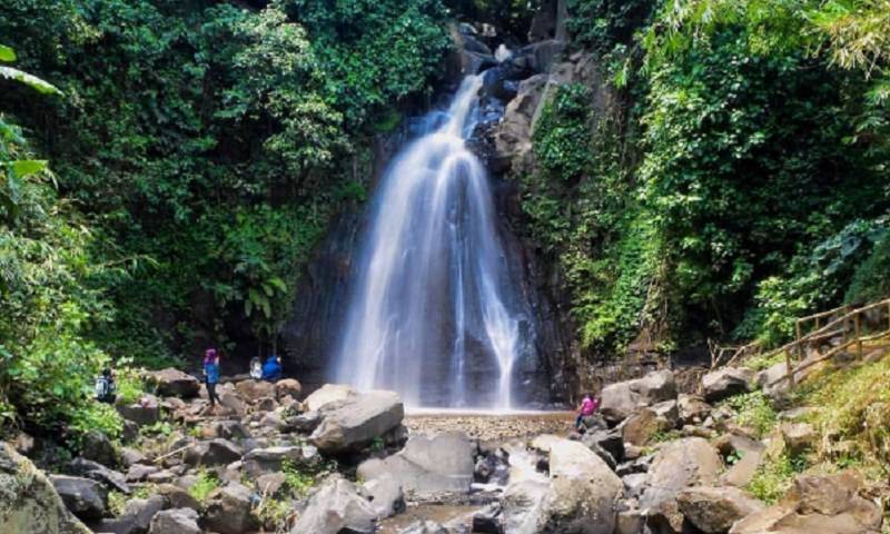 coban kethak