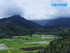Kunjungi 20 Tempat Wisata Dieng Wonosobo Ini, Jika Budget Liburan Kamu Cuma 1 Jutaan!