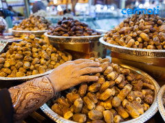 Mengenal Buah Kurma: Kandungan, Jenis-jenis, Manfaat, dan Cara Memilih Buah Kurma yang Baik