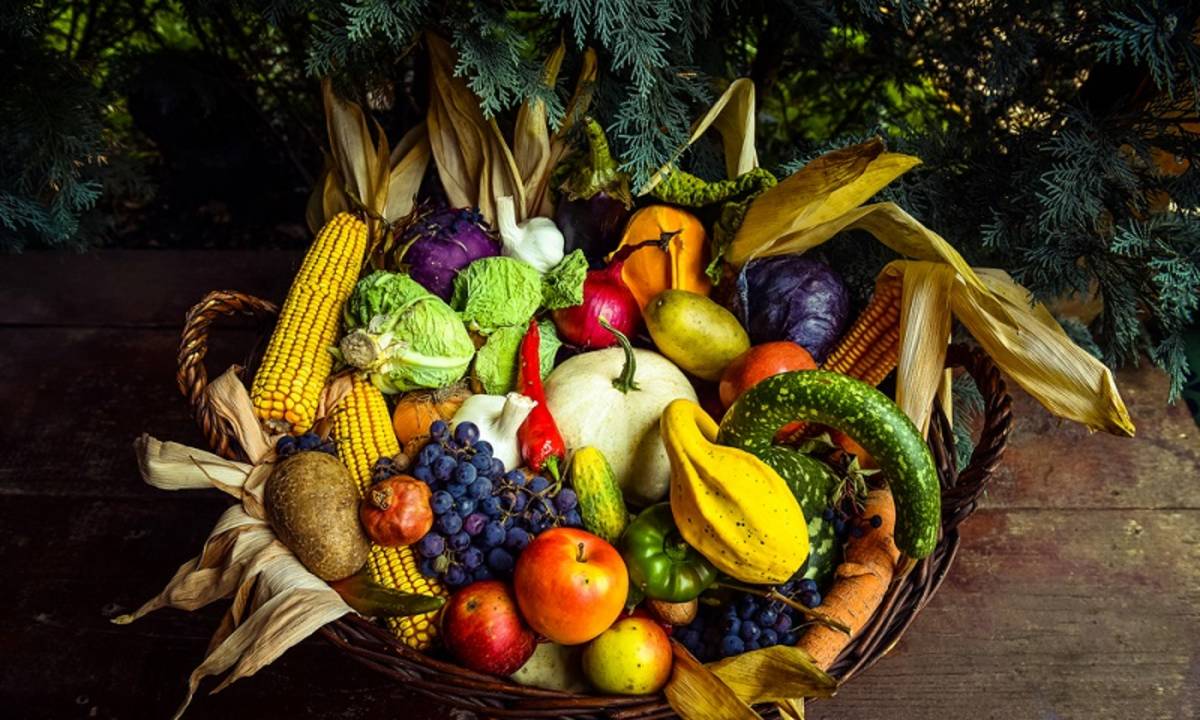 Mengolah Buah Segar Menjadi Makanan Cepat Saji Bertujuan