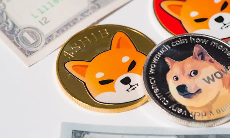 shib dan dogecoin