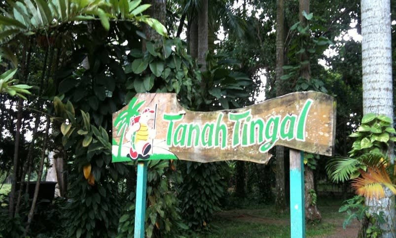 Tanah Tingal