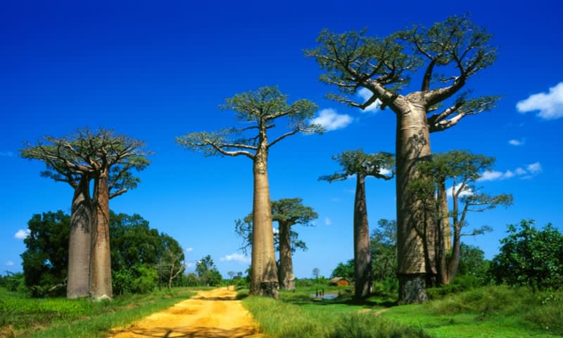 Madagascar