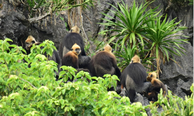 Taman Nasional Ba Be