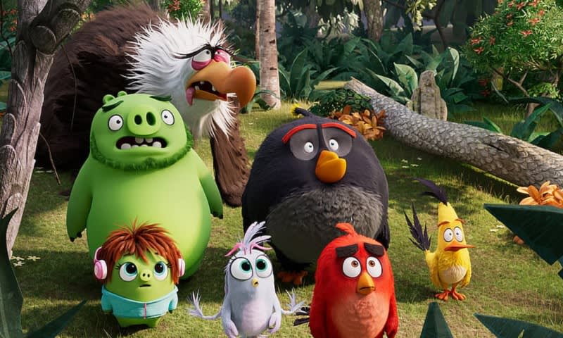Angry Bird