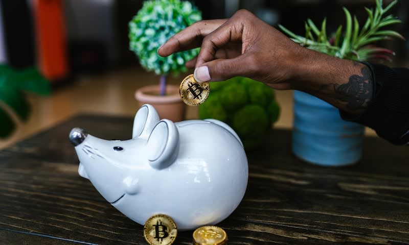 Manfaat dan Keuntungan Menjadi Seorang No Coiner