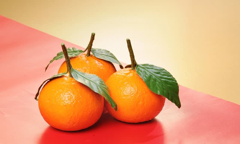 jeruk mandarin