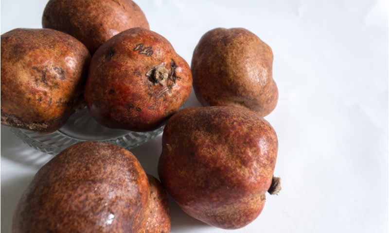 buah zuriat