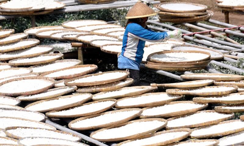 proses pembuatan tepung tapioka