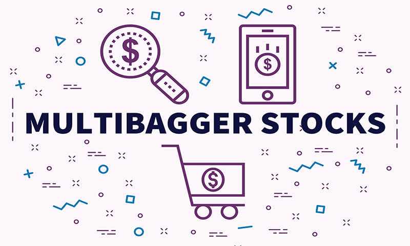 multibagger