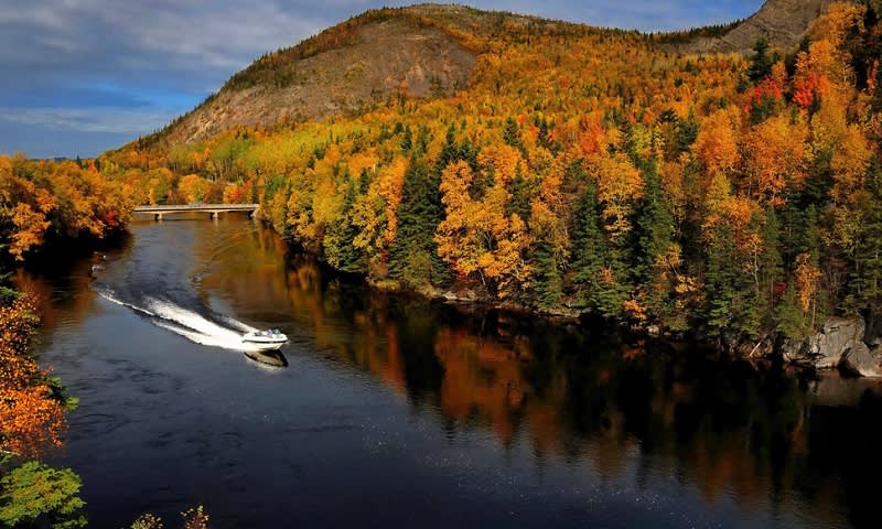 Keindahan Sungai di Newfoundland, Canada pada Saat Musim Semi