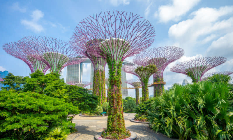 Gardens by The Bay