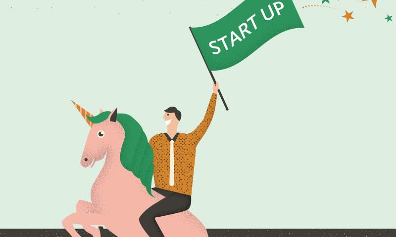 Startup Unicorn