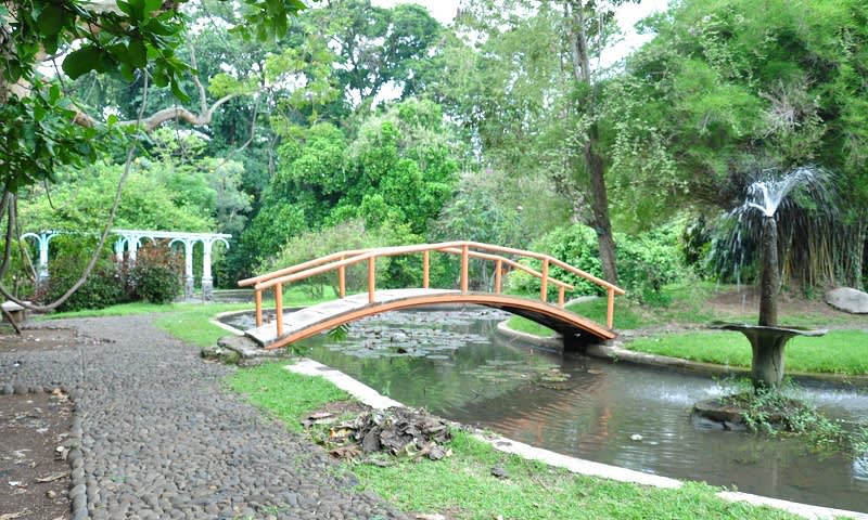 kebun raya purwodadi