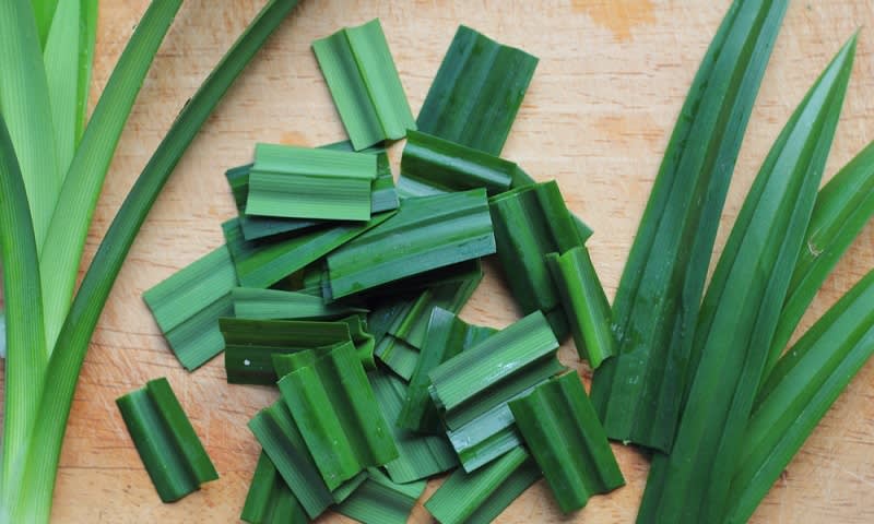 daun pandan