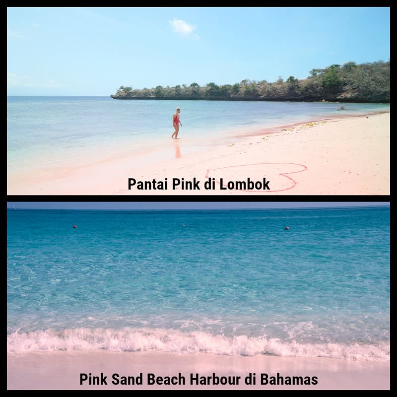 Pantai Pink