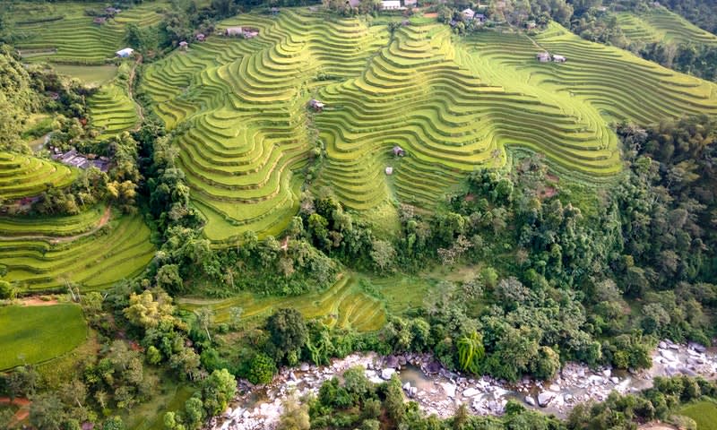 Banaue Rice Terraces