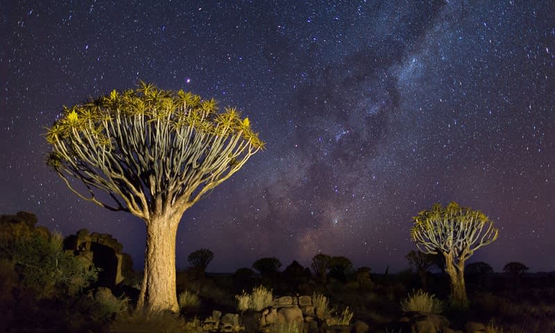 Taman Alam Kalahari, Namibia Selatan