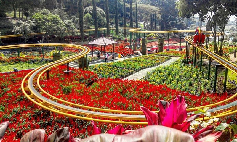 Rekomendasi Taman Bunga Di Indonesia Yang Cantik dan Instagramable