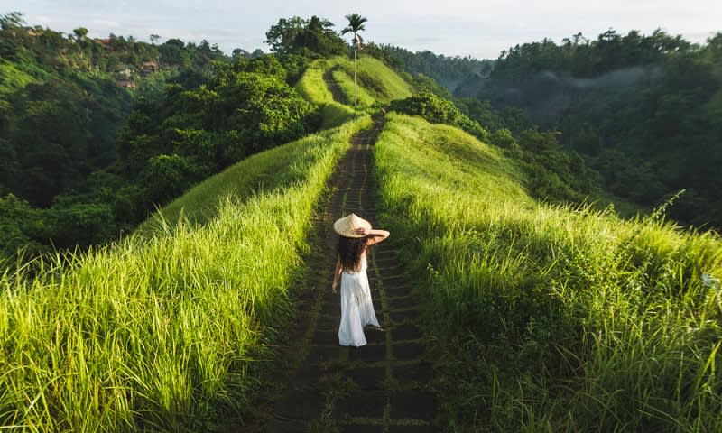 Campuhan Ridge Walk