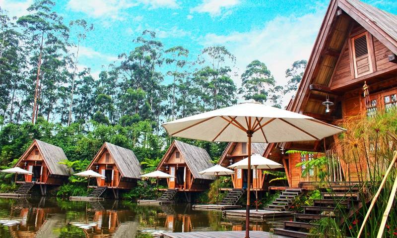 dusun bambu