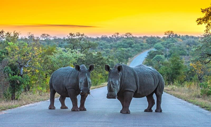 Taman Nasional Kruger