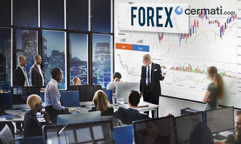 7 Trader Forex Raksasa Di Dunia Cermati - 