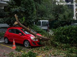 Pemilik Kendaraan Perlu Tahu, Ini Asuransi Mobil Untuk Mengcover ...